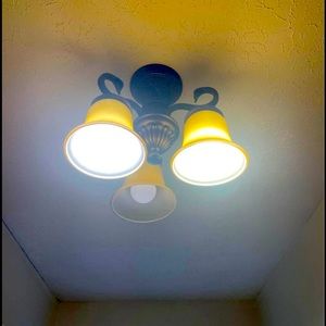Vintage ceiling light